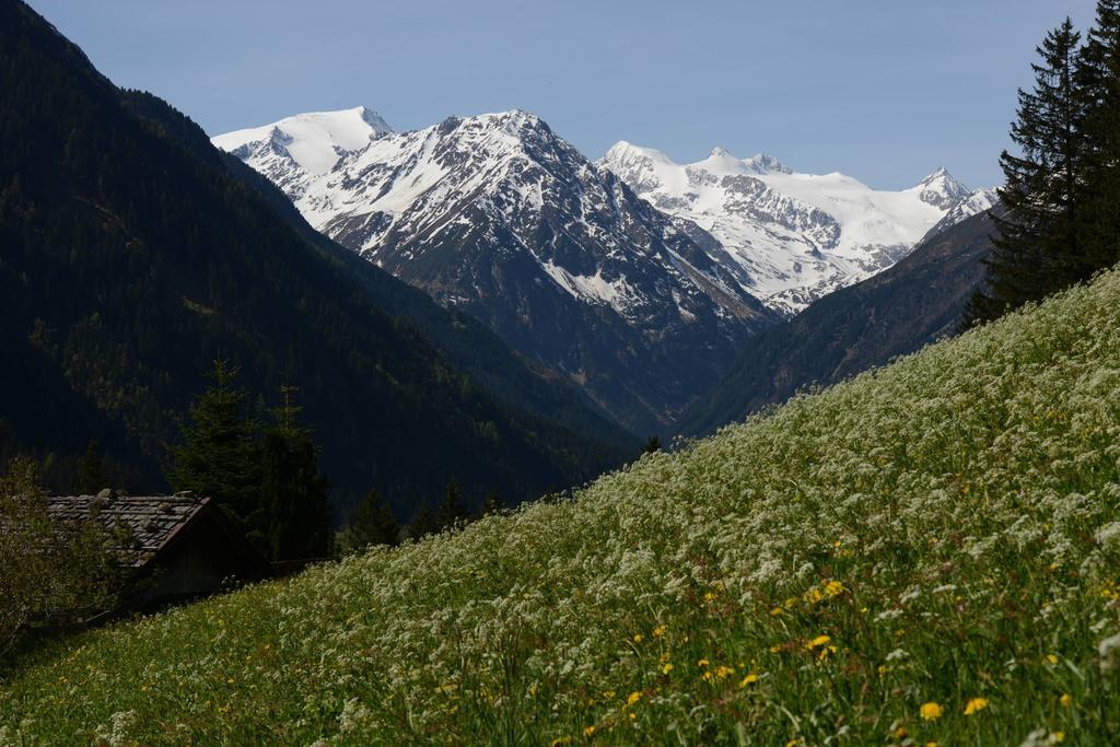Pension Tina Neustift im Stubaital Kültér fotó