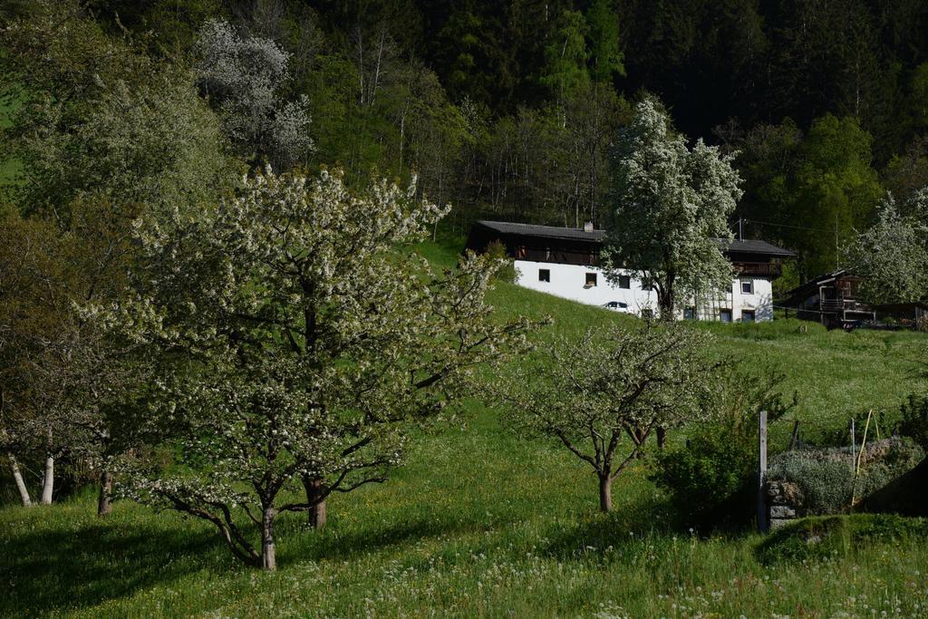 Pension Tina Neustift im Stubaital Kültér fotó