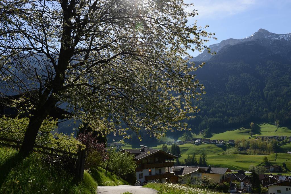 Pension Tina Neustift im Stubaital Kültér fotó