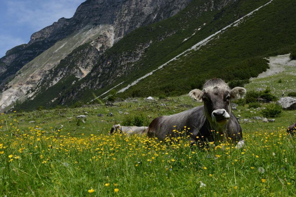 Pension Tina Neustift im Stubaital Kültér fotó