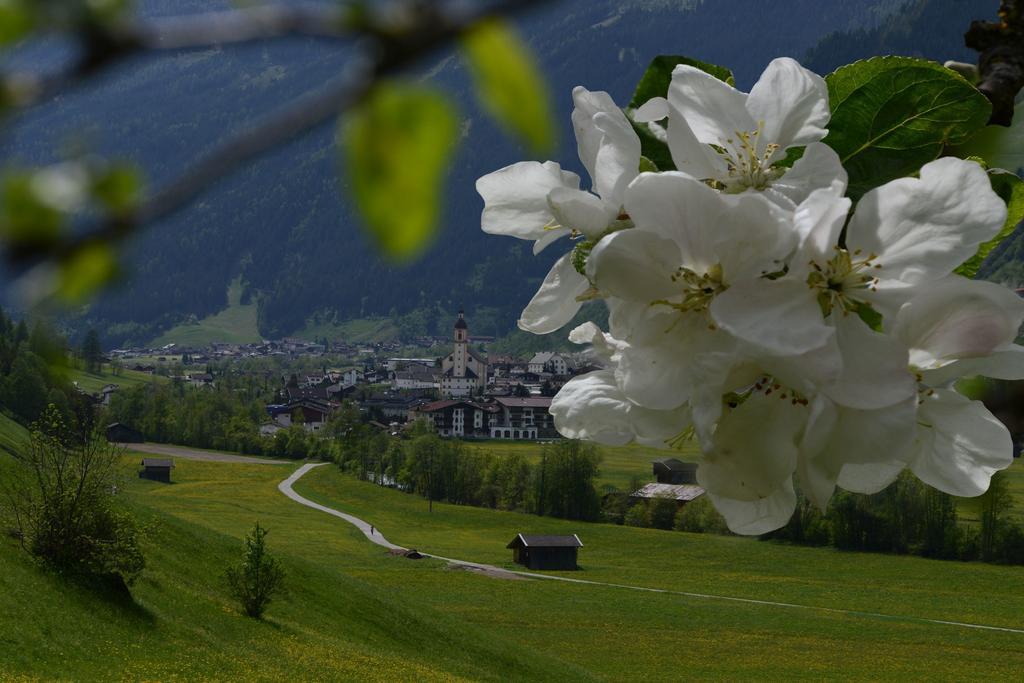 Pension Tina Neustift im Stubaital Kültér fotó