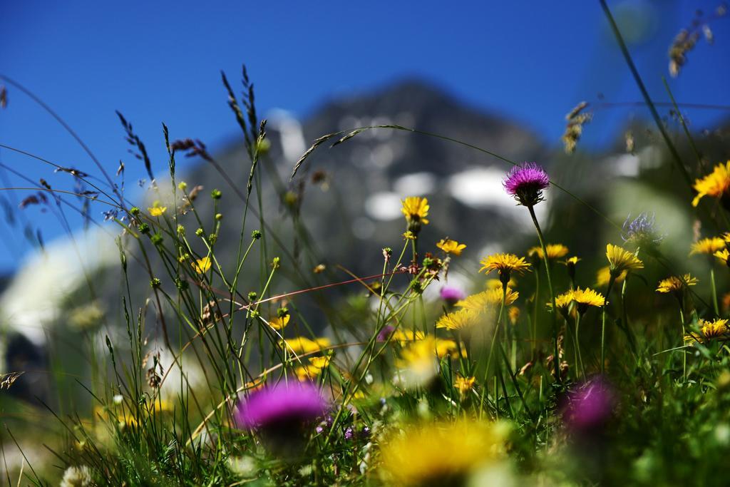 Pension Tina Neustift im Stubaital Kültér fotó